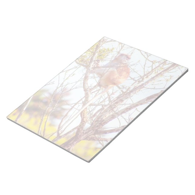 Patas is Up a Tree Notepad (Angled)