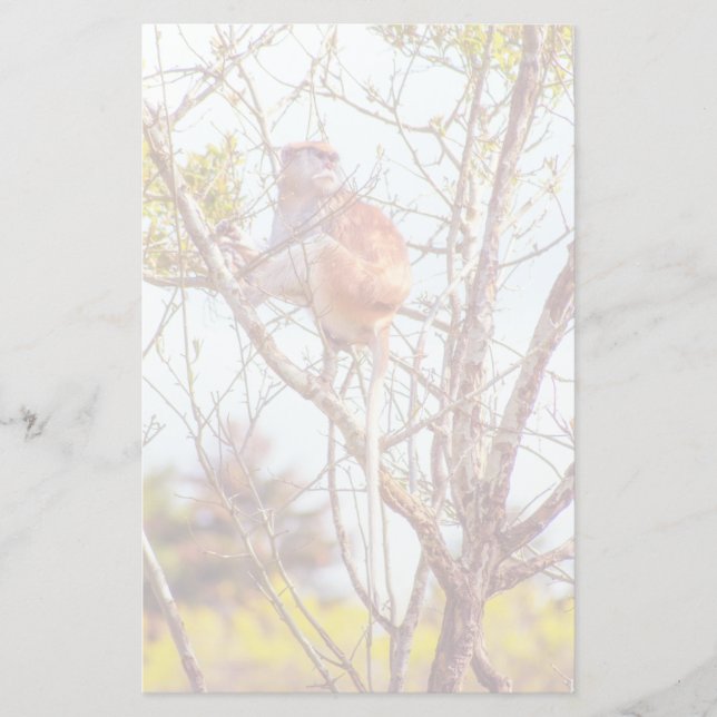Patas is Up a Tree Stationery (Front)