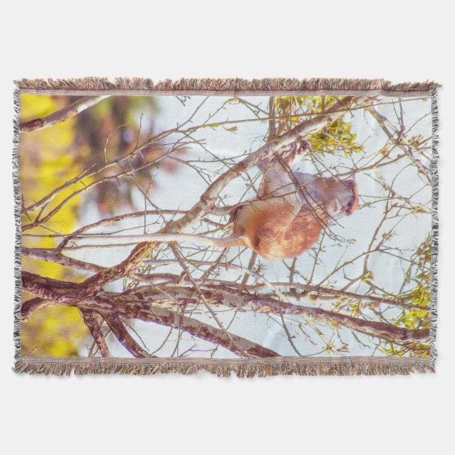 Patas is Up a Tree Throw Blanket (Front)