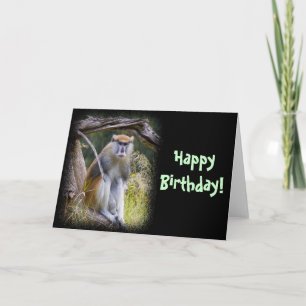 Patas Monkey Birthday Card