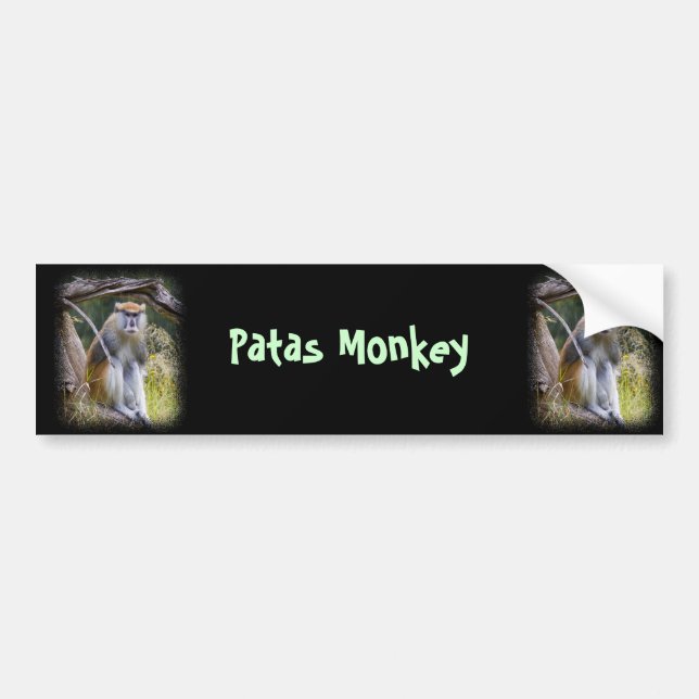 Patas Monkey Bumper Sticker (Front)