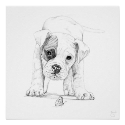 Patch A Boxer Puppy Drawing Art Poster