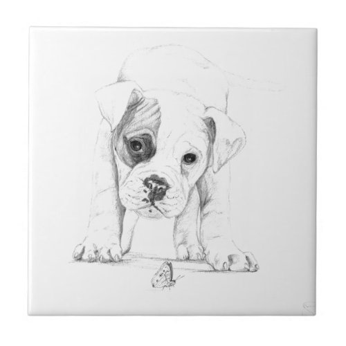 Patch A Boxer Puppy Drawing Art Tile