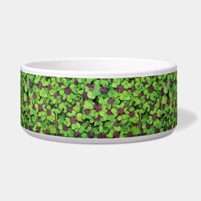 Patch of Four Leaf Clover, Sorrel, with Dew Bowl (Front)