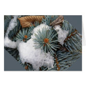 patch of snow cards (Front Horizontal)