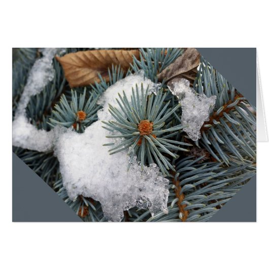 patch of snow cards (Front Horizontal)