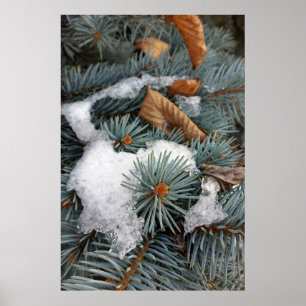 patch of snow poster