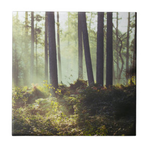 Patch of Underbrush in the Forest Ceramic Tile