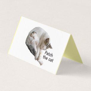 PATCH THE CAT AND HER KITTEN 