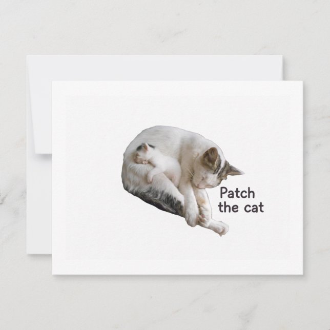 PATCH THE CAT AND HER KITTEN  RSVP CARD (Front)