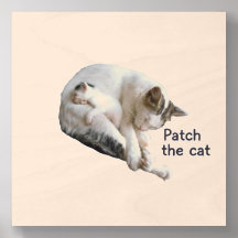 PATCH THE CAT AND HER KITTEN