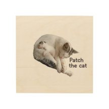 PATCH THE CAT AND HER KITTEN