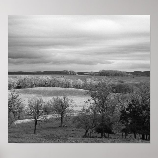 Patches of Sun Poster (Front)