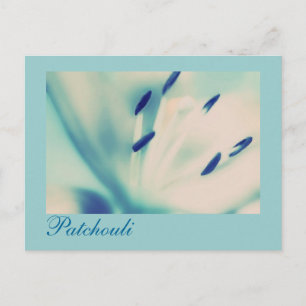 Patchouli Lily Postcard Floral Digital Art