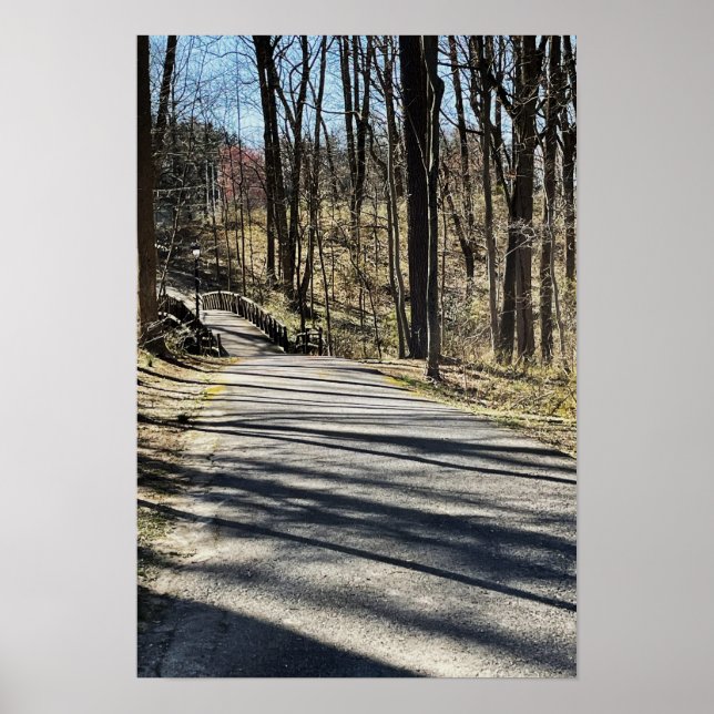 Path and Walking Bridge Poster (Front)