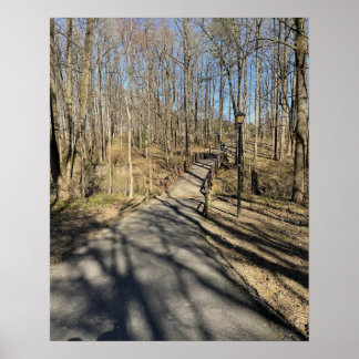 Path and Walking Bridge Poster