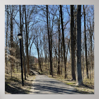 Path and Walking Bridge Poster