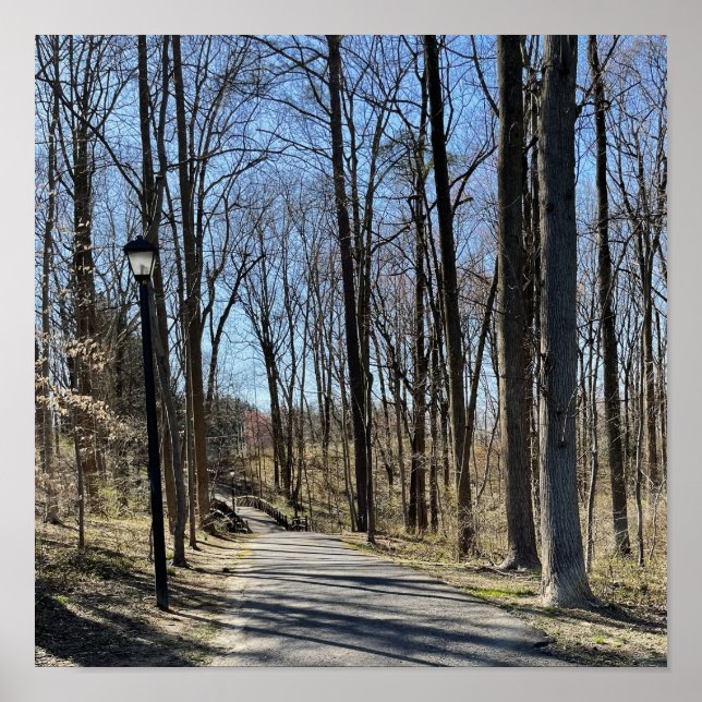 Path and Walking Bridge Poster (Front)