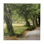 Path in the Country Ceramic Tile<br><div class="desc">Home Décor</div>