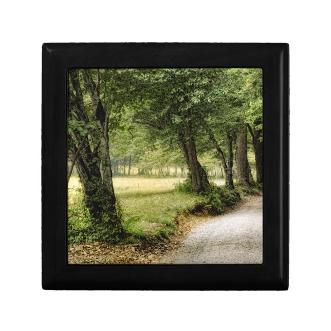 Path in the Country Gift Box (Front)