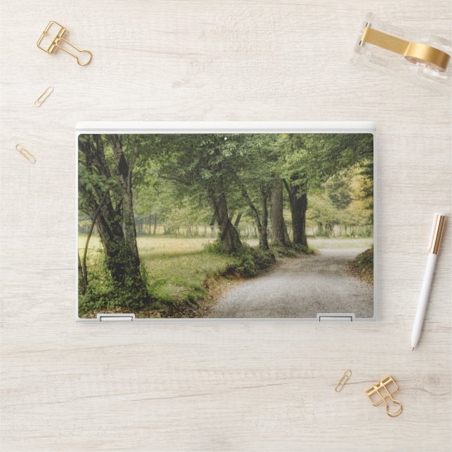 Path in the Country HP Laptop Skin (Desk)