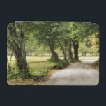 Path in the Country iPad Mini Cover<br><div class="desc">Home Décor</div>