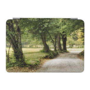 Path in the Country iPad Mini Cover