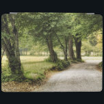 Path in the Country iPad Smart Cover<br><div class="desc">Home Décor</div>