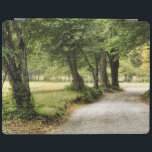 Path in the Country iPad Smart Cover<br><div class="desc">Home Décor</div>