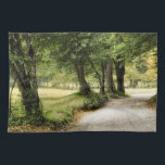 Path in the Country Kitchen Towel<br><div class="desc">Home Décor</div>