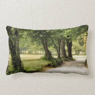 Path in the Country Lumbar Pillow
