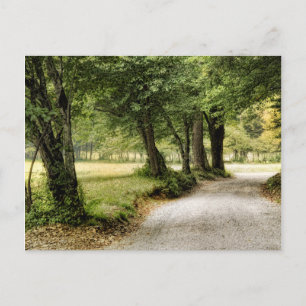Path in the Country Postcard