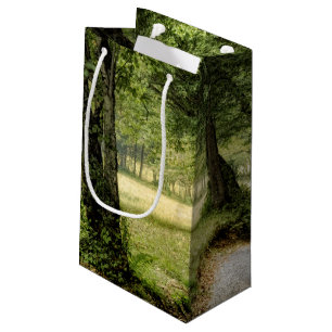 Path in the Country Small Gift Bag