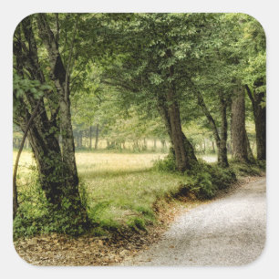 Path in the Country Square Sticker