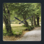 Path in the Country Square Wall Clock<br><div class="desc">Home Décor</div>