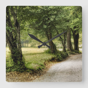 Path in the Country Square Wall Clock