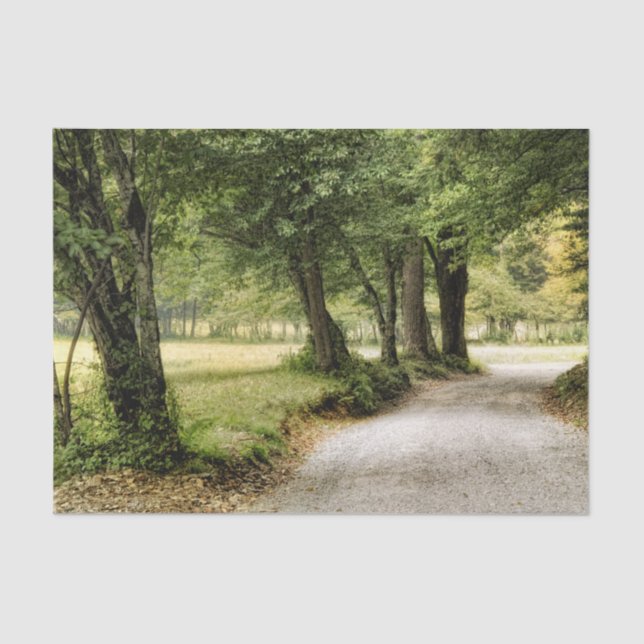 Path in the Country Tissue Paper (Front)