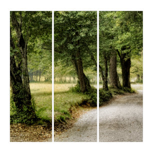 Path in the Country Triptych