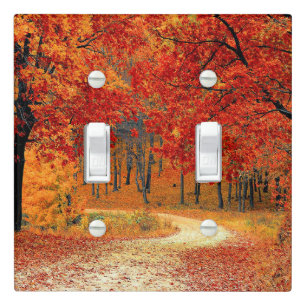 Path in the Forest, Autumn Light Switch Cover