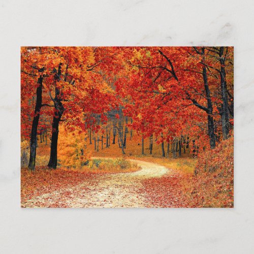 Path in the Forest Autumn Postcard