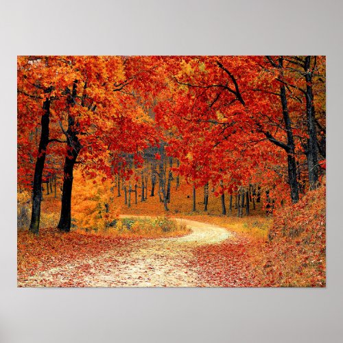 Path in the Forest Autumn Poster