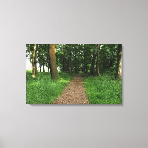 Path in The Woods Bute Park Cardiff Canvas Print
