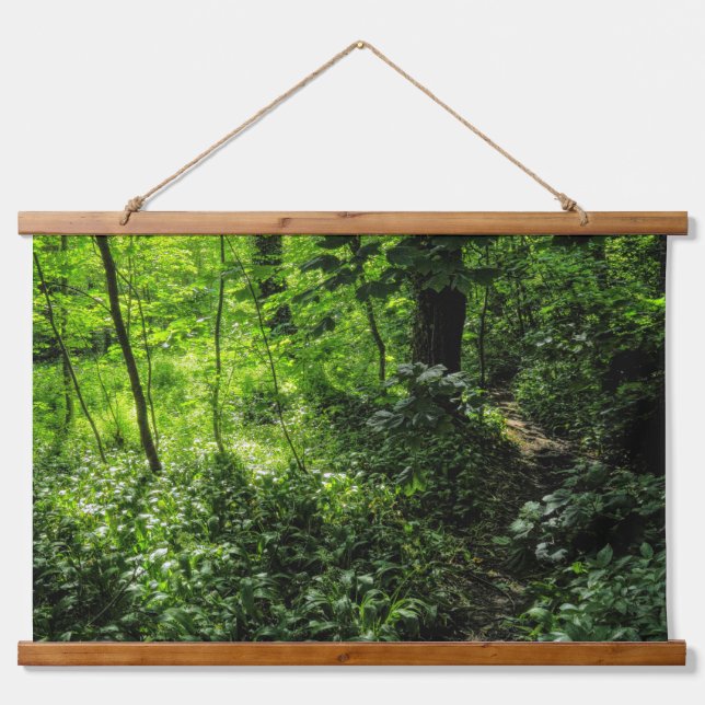 Path in the Woods Hanging Tapestry (Front)