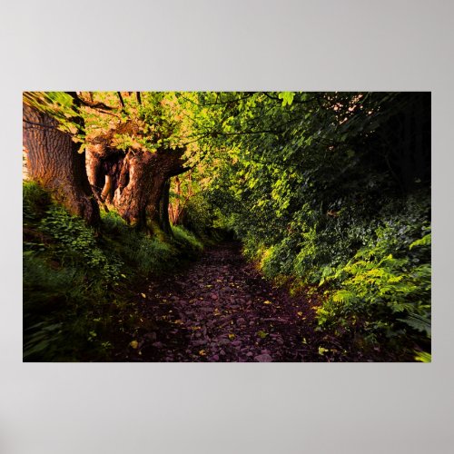 Path in the Woods Print