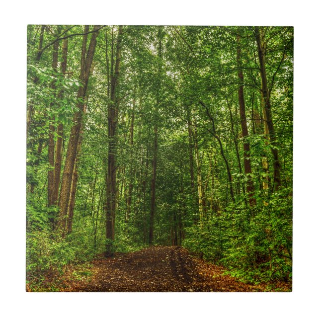 Path in the Woods Tile (Front)