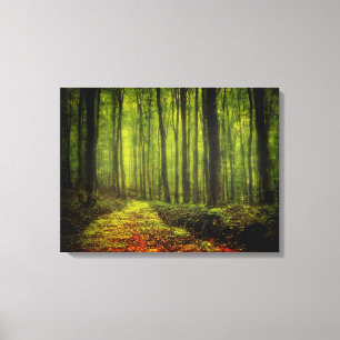 Path In Woods Canvas Print