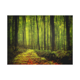 Path In Woods Canvas Print