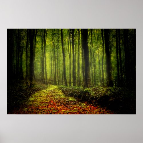 Path In Woods Poster