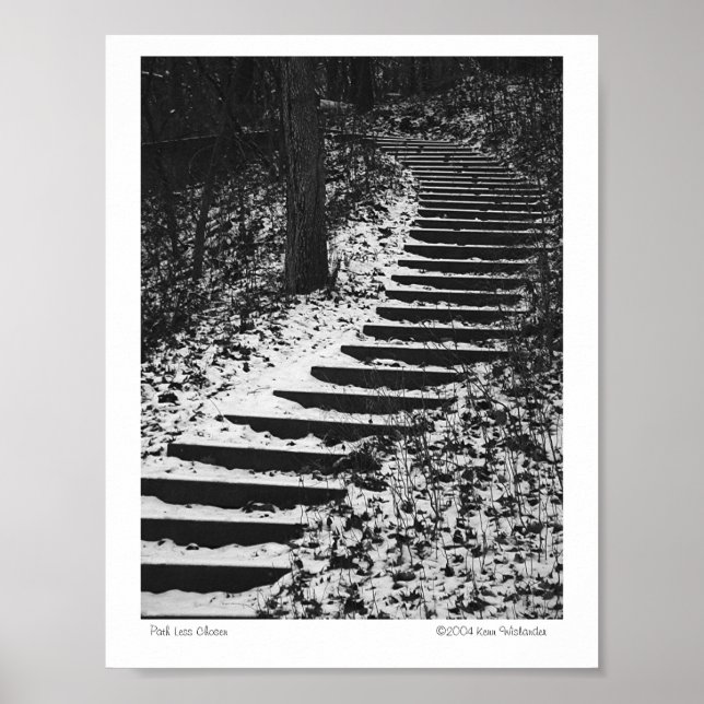 Path Less Chosen Poster (Front)
