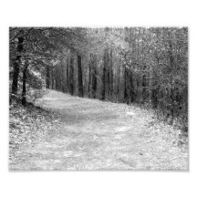 Path Less Traveled B&W